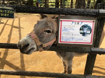 伊豆シャボテン動物公園に投稿された画像（2020/11/19）