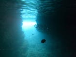 武藤潜水に投稿された画像（2020/11/19）