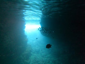 武藤潜水に投稿された画像（2020/11/19）