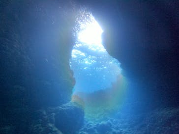 武藤潜水に投稿された画像（2020/11/19）