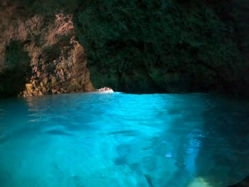 武藤潜水に投稿された画像（2020/11/19）