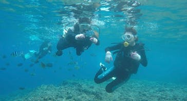 武藤潜水に投稿された画像（2020/11/19）