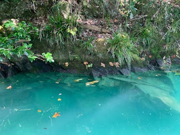 ぼちぼちアドベンチャーすそのに投稿された画像（2020/11/19）