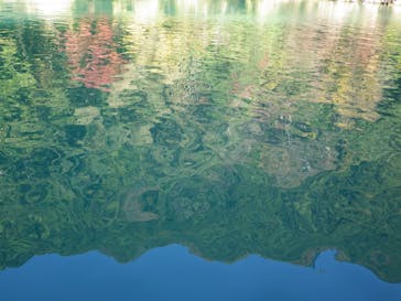 ぼちぼちアドベンチャーすそのに投稿された画像（2020/11/19）