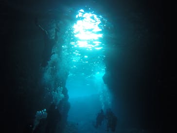 武藤潜水に投稿された画像（2020/11/19）