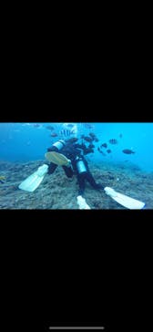 武藤潜水に投稿された画像（2020/11/19）