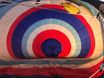 ウイニングバルーンクラブに投稿された画像（2020/11/19）