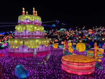 伊豆ぐらんぱる公園に投稿された画像（2020/11/19）