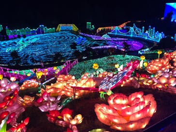 伊豆ぐらんぱる公園に投稿された画像（2020/11/19）