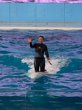 横浜・八景島シーパラダイスに投稿された画像（2020/11/19）