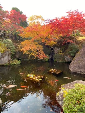 箱根美術館に投稿された画像（2020/11/19）