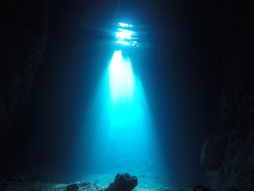 武藤潜水に投稿された画像（2020/11/20）