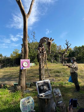 天王寺動物園に投稿された画像（2020/11/20）