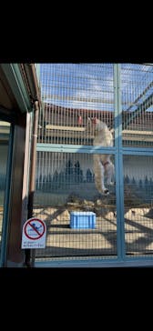 天王寺動物園に投稿された画像（2020/11/20）