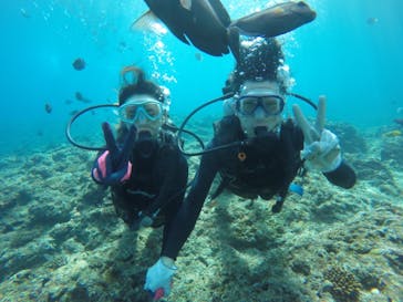 武藤潜水に投稿された画像（2020/11/20）