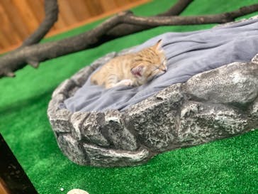 神戸どうぶつ王国に投稿された画像（2020/11/20）