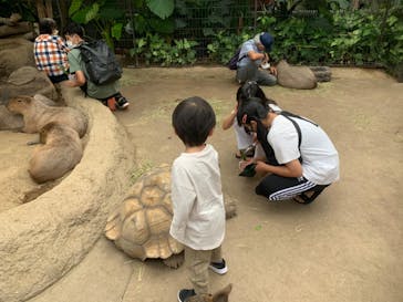 神戸どうぶつ王国に投稿された画像（2020/11/20）