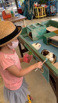 沖縄こどもの国に投稿された画像（2020/11/20）