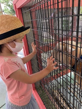 沖縄こどもの国に投稿された画像（2020/11/20）