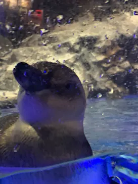 すみだ水族館に投稿された画像（2020/11/20）