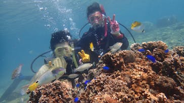 ダイビングショップ Sea Free（シーフリー）に投稿された画像（2020/11/19）