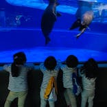 サンシャイン水族館に投稿された画像（2020/11/20）