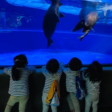 サンシャイン水族館に投稿された画像（2020/11/20）
