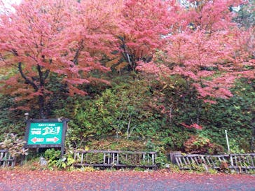 アソビュー株式会社　150881に投稿された画像（2020/11/20）