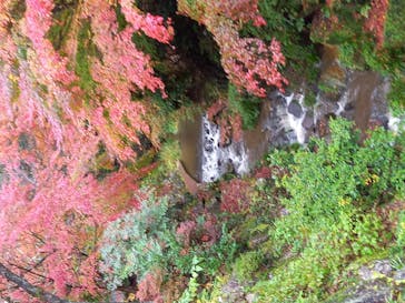 アソビュー株式会社　150881に投稿された画像（2020/11/20）