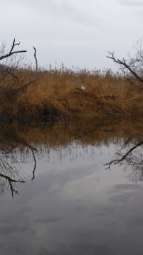 レイクサイドとうろに投稿された画像（2020/11/20）