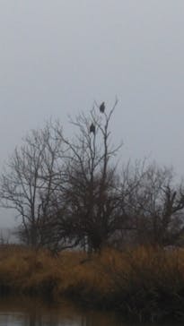 レイクサイドとうろに投稿された画像（2020/11/20）