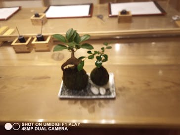 伊勢夫婦岩めおと横丁　めおと岩アクティビティに投稿された画像（2020/11/20）