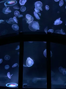 すみだ水族館に投稿された画像（2020/11/20）