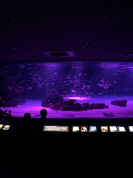 サンシャイン水族館に投稿された画像（2020/11/20）