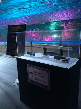 サンシャイン水族館に投稿された画像（2020/11/20）