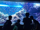 サンシャイン水族館に投稿された画像（2020/11/21）