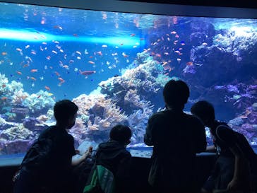 サンシャイン水族館に投稿された画像（2020/11/20）
