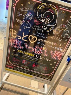 サンシャイン水族館に投稿された画像（2020/11/20）