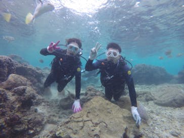 武藤潜水に投稿された画像（2020/11/21）