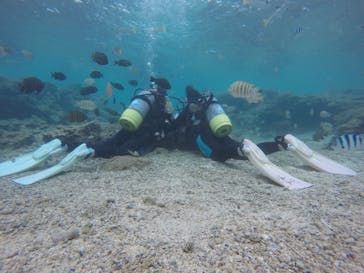 武藤潜水に投稿された画像（2020/11/21）