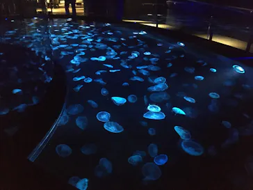 すみだ水族館に投稿された画像（2020/11/21）