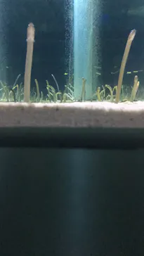 すみだ水族館に投稿された画像（2020/11/21）