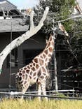 天王寺動物園に投稿された画像（2020/11/21）