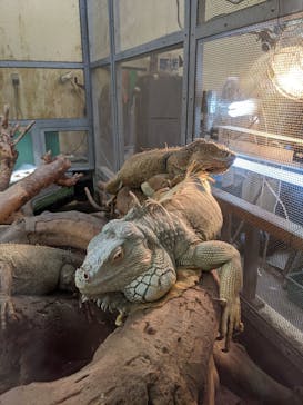 沖縄こどもの国に投稿された画像（2020/11/21）