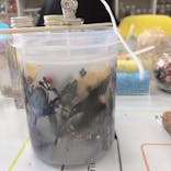 ずこうしつ〜sugamo〜に投稿された画像（2020/11/21）