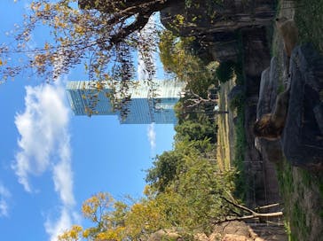 天王寺動物園に投稿された画像（2020/11/21）