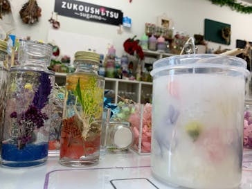 ずこうしつ〜sugamo〜に投稿された画像（2020/11/21）