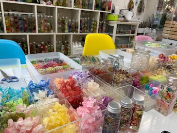 ずこうしつ〜sugamo〜に投稿された画像（2020/11/21）