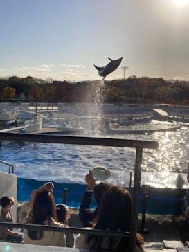 京都水族館に投稿された画像（2020/11/21）