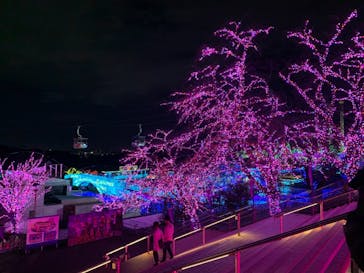 よみうりランド 遊園地に投稿された画像（2020/11/21）